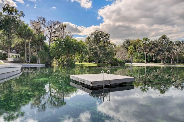 111 Crown Oaks Way Unit 101, Longwood, FL 32779 - dock area featuring a water view and view of scattered trees