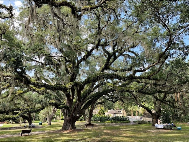 111 Crown Oaks Way Unit 101, Longwood, FL 32779 - view of green lawn