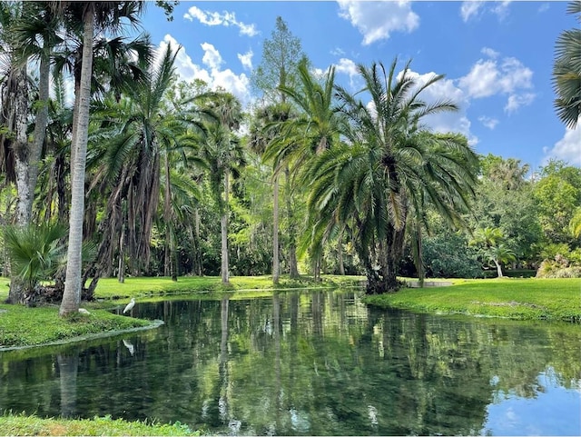 111 Crown Oaks Way Unit 101, Longwood, FL 32779 - water view