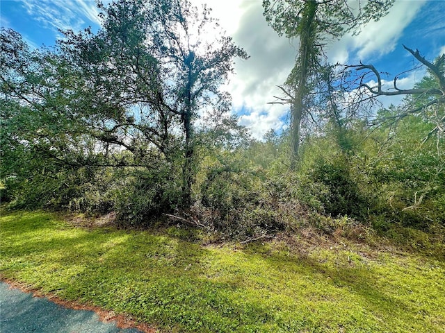 TBD SW 35th Court Rd, Ocala FL, 34473 land for sale