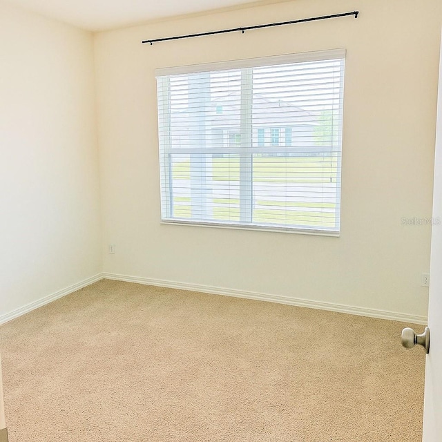 5216 Greenheart Ave, Mount Dora, FL 32757 - carpeted spare room featuring a wealth of natural light and baseboards