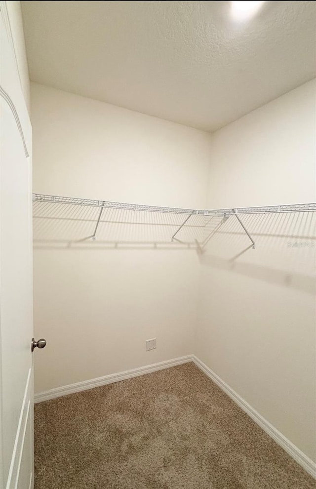 5216 Greenheart Ave, Mount Dora, FL 32757 - walk in closet featuring carpet
