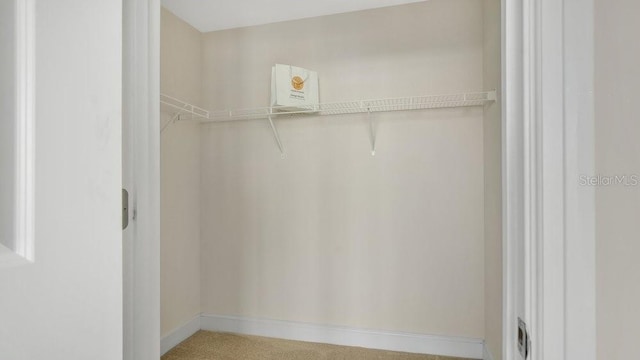 spacious closet with carpet flooring