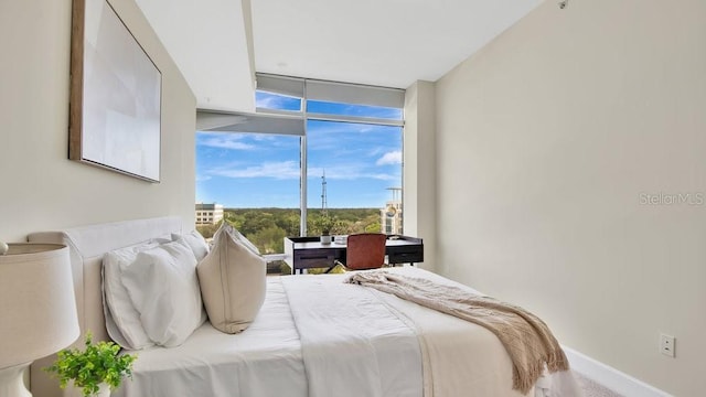 bedroom featuring baseboards and floor to ceiling windows