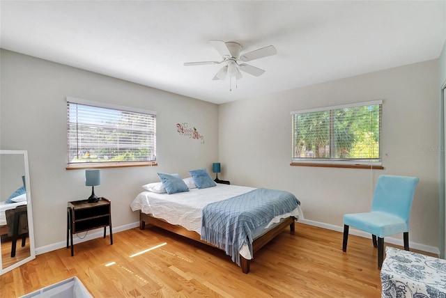 9503 Alice Ln, Riverview, FL 33578 - bedroom with multiple windows, light wood finished floors, and ceiling fan