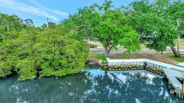 9503 Alice Ln, Riverview, FL 33578 - view of pool featuring a water view