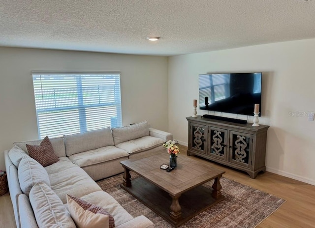 living room featuring wood finished floors, baseboards, and a textured ceiling