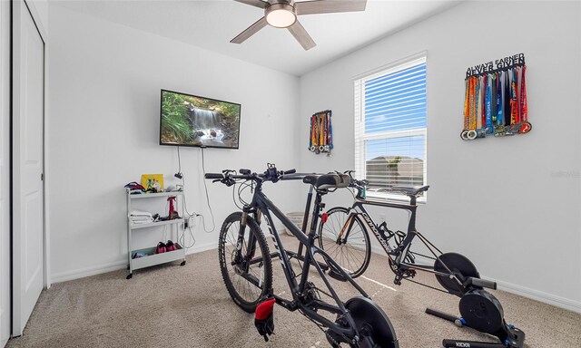 exercise room featuring carpet flooring, ceiling fan, and baseboards