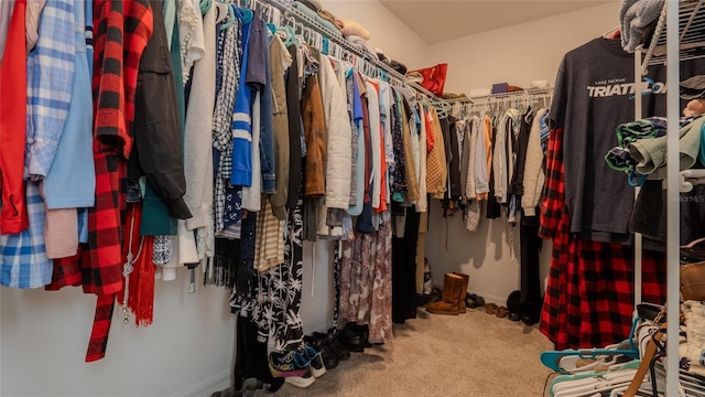 spacious closet with carpet floors