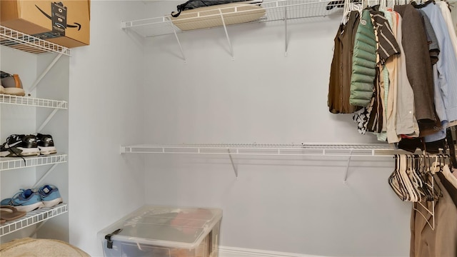 726 Lake Biscayne Way, Orlando, FL 32824 - view of spacious closet