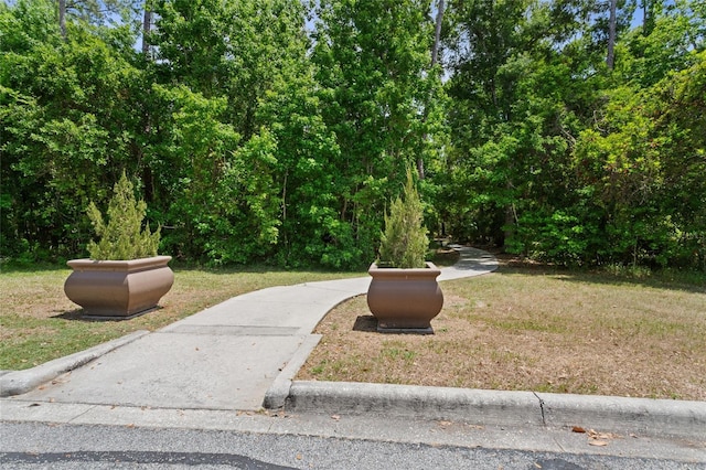 view of community featuring a yard