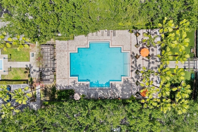bird's eye view