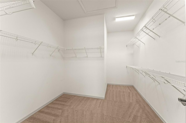 walk in closet featuring light colored carpet