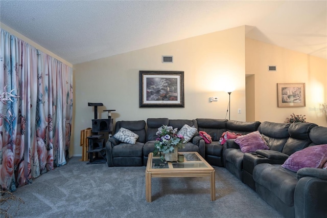 7418 Riverbank Dr, New Port Richey, FL 34655 - living area featuring lofted ceiling and carpet