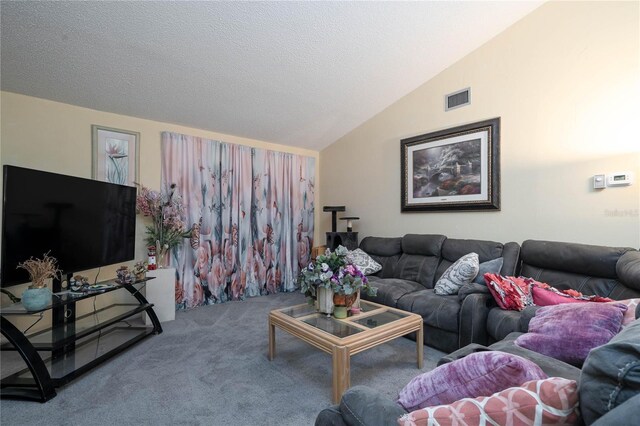 7418 Riverbank Dr, New Port Richey, FL 34655 - living area featuring lofted ceiling, carpet floors, and a textured ceiling