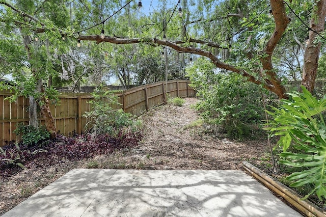 view of yard with a fenced backyard and a patio