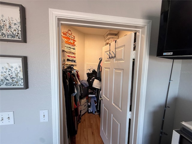 4333 Bayside Village Dr Unit 310, Tampa, FL 33615 - spacious closet with wood finished floors