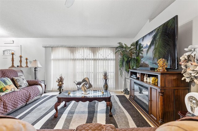 5113 Sage Way, Kissimmee, FL 34758 - living room with a textured ceiling, carpet, and vaulted ceiling