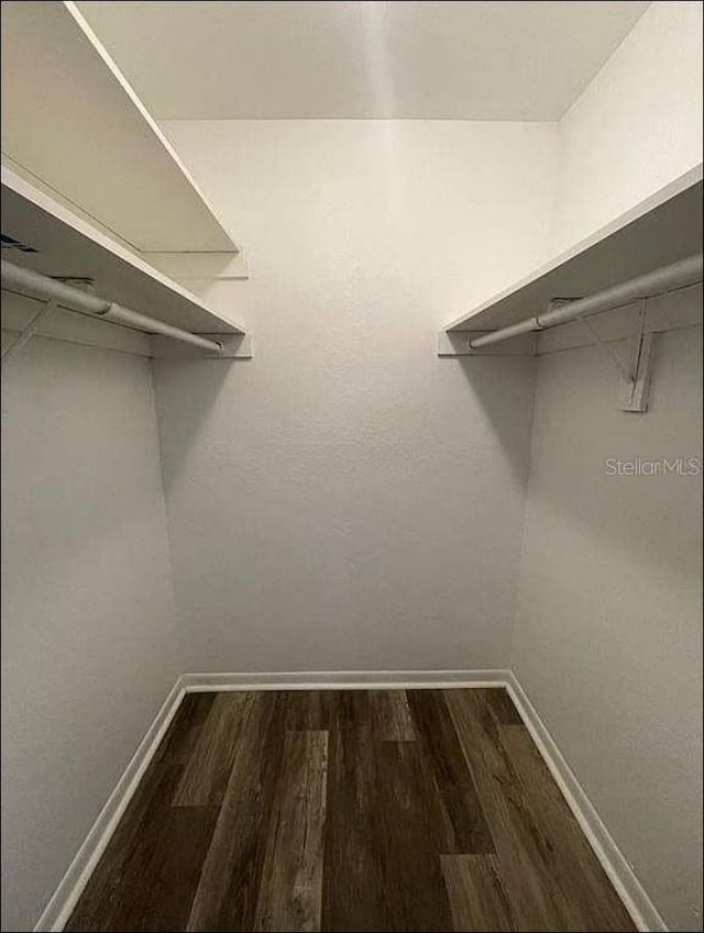 walk in closet featuring dark wood-style flooring