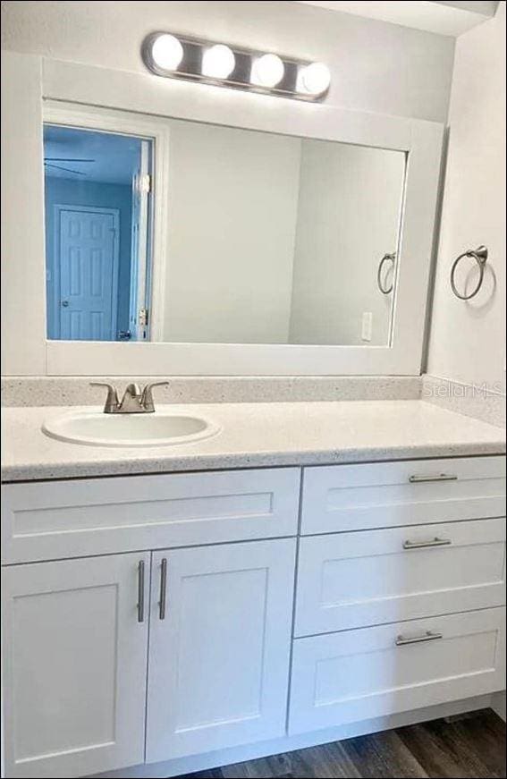 bathroom with vanity and wood finished floors