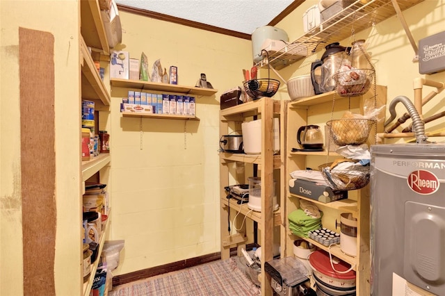 storage featuring water heater