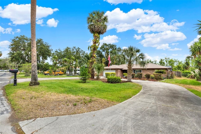 view of front of property featuring a front yard and curved driveway