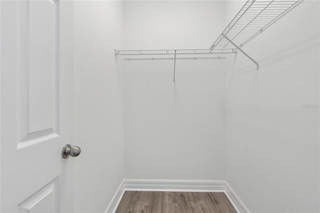 spacious closet with dark wood finished floors