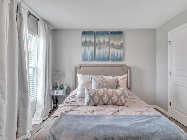 5289 Fiddle Fig Ave, Wimauma, FL 33598 - bedroom with carpet flooring and baseboards