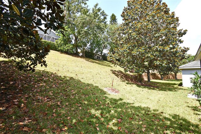 view of green lawn
