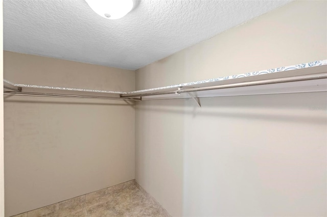 spacious closet with carpet floors