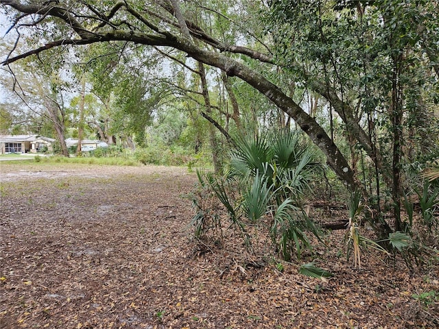 1424 Lake Shore Dr, Casselberry, FL 32707 - view of landscape