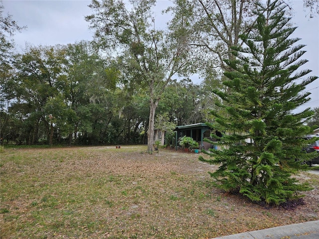 1424 Lake Shore Dr, Casselberry, FL 32707 - view of yard