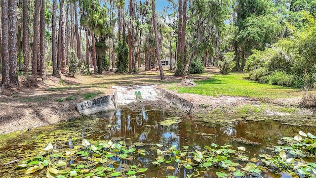 7374 Circle Dr, Lady Lake, FL 32159 - photo 59