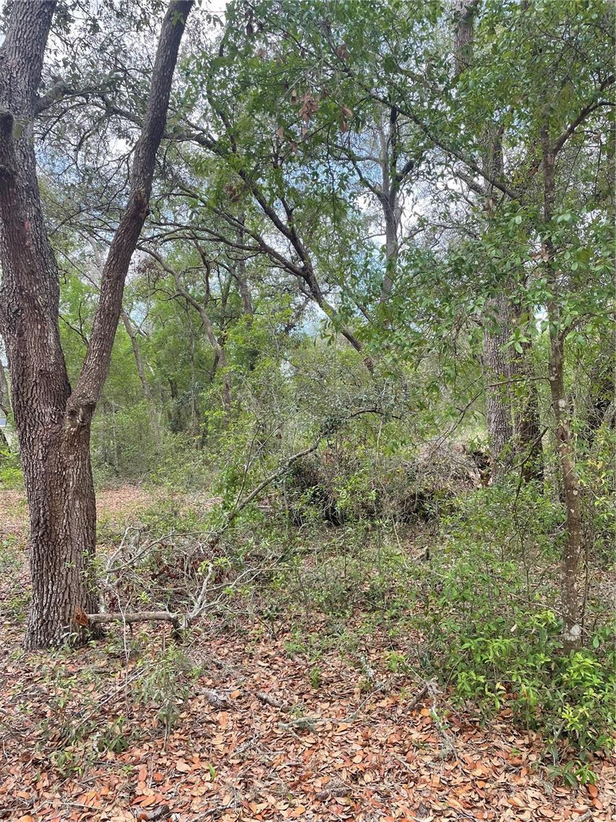 Juniper St, Lady Lake, FL 32159 - photo 1