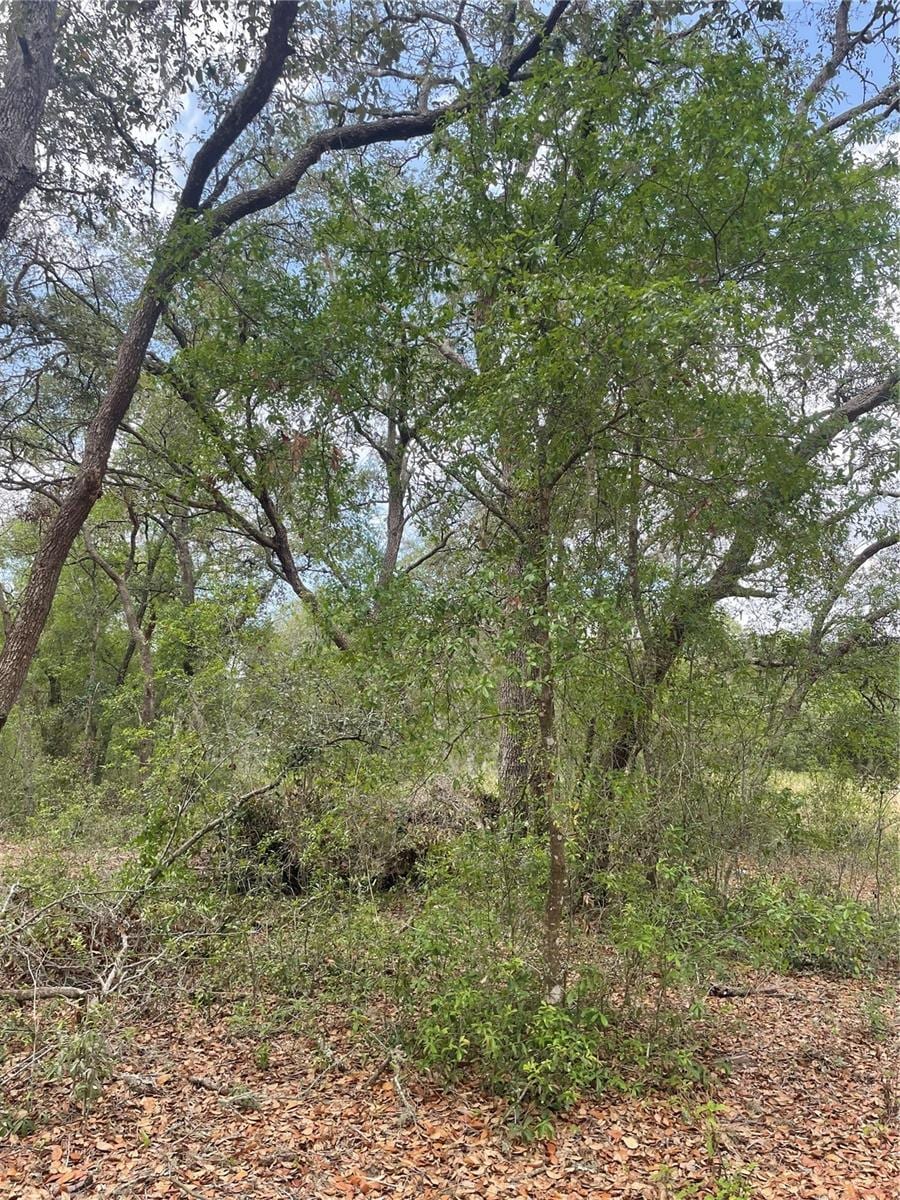 Juniper St, Lady Lake, FL 32159 - photo 2