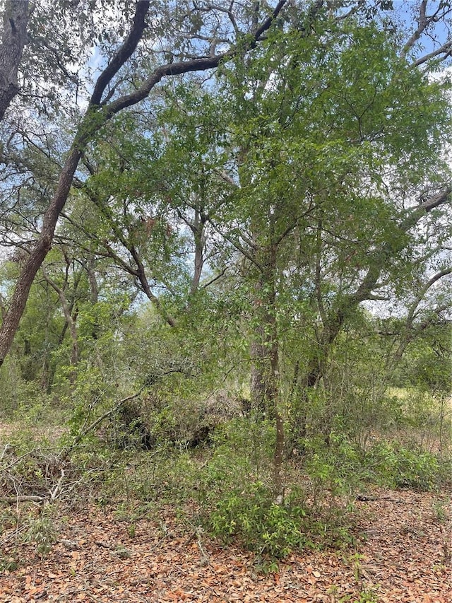 Juniper St, Lady Lake, FL 32159 - photo 2