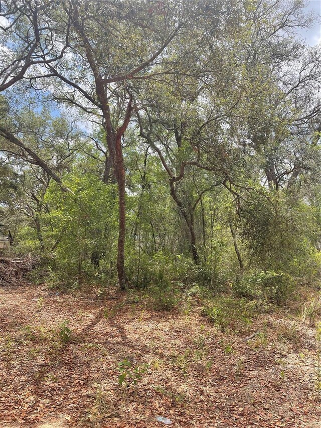 Juniper St, Lady Lake, FL 32159 - photo 3