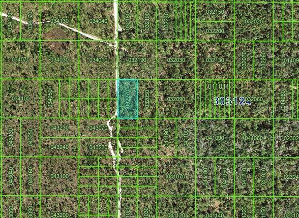 0 River Ranch Blvd, Lake Wales, FL 33898 - photo 1