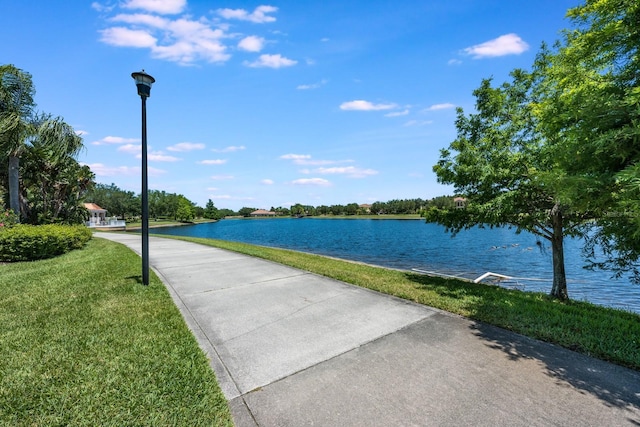11908 Fiore Dr Unit 1, Orlando, FL 32827 - water view