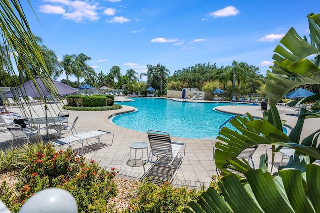 11908 Fiore Dr Unit 1, Orlando, FL 32827 - community pool with a patio area and fence