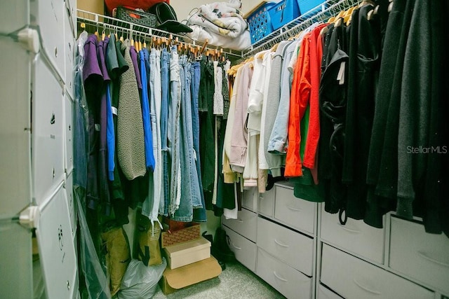 10940 Leafshore Loop, Orlando, FL 32829 - view of spacious closet