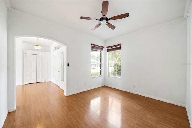 4448 Riverton Dr, Orlando, FL 32817 - photo 7