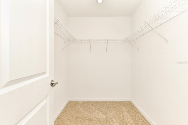 4792 Vellacito Way, Davenport, FL 33897 - spacious closet with light colored carpet
