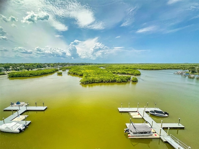 5 Riverwalk Dr Unit 601, New Smyrna Beach, FL 32169 - drone / aerial view of a large body of water