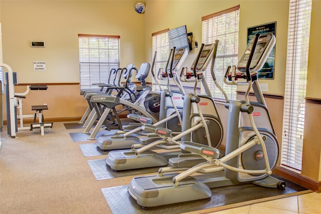 3436 Gerber Daisy Ln, Oviedo, FL 32766 - exercise room with a healthy amount of sunlight