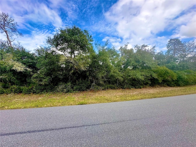 TBD SW 35th Court Rd, Ocala FL, 34473 land for sale
