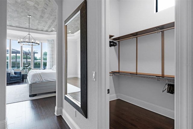 spacious closet featuring dark wood-style floors, a raised ceiling, and a chandelier