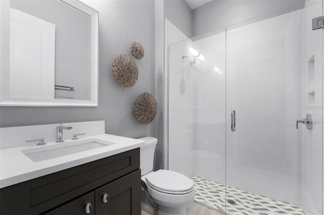 bathroom with a shower stall, toilet, and vanity