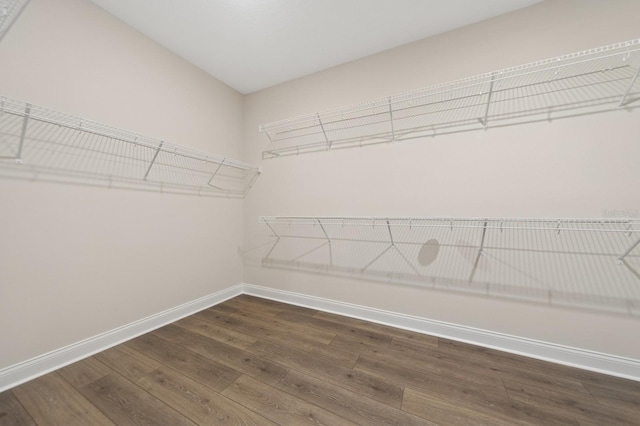 13187 Telsen St Unit 38, Winter Garden, FL 34787 - walk in closet featuring dark wood-style flooring