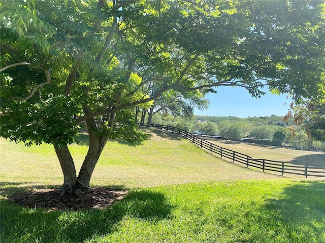 30732 Lipizzan Ter, Mount Dora, FL 32757 - surrounding community with a lawn and fence